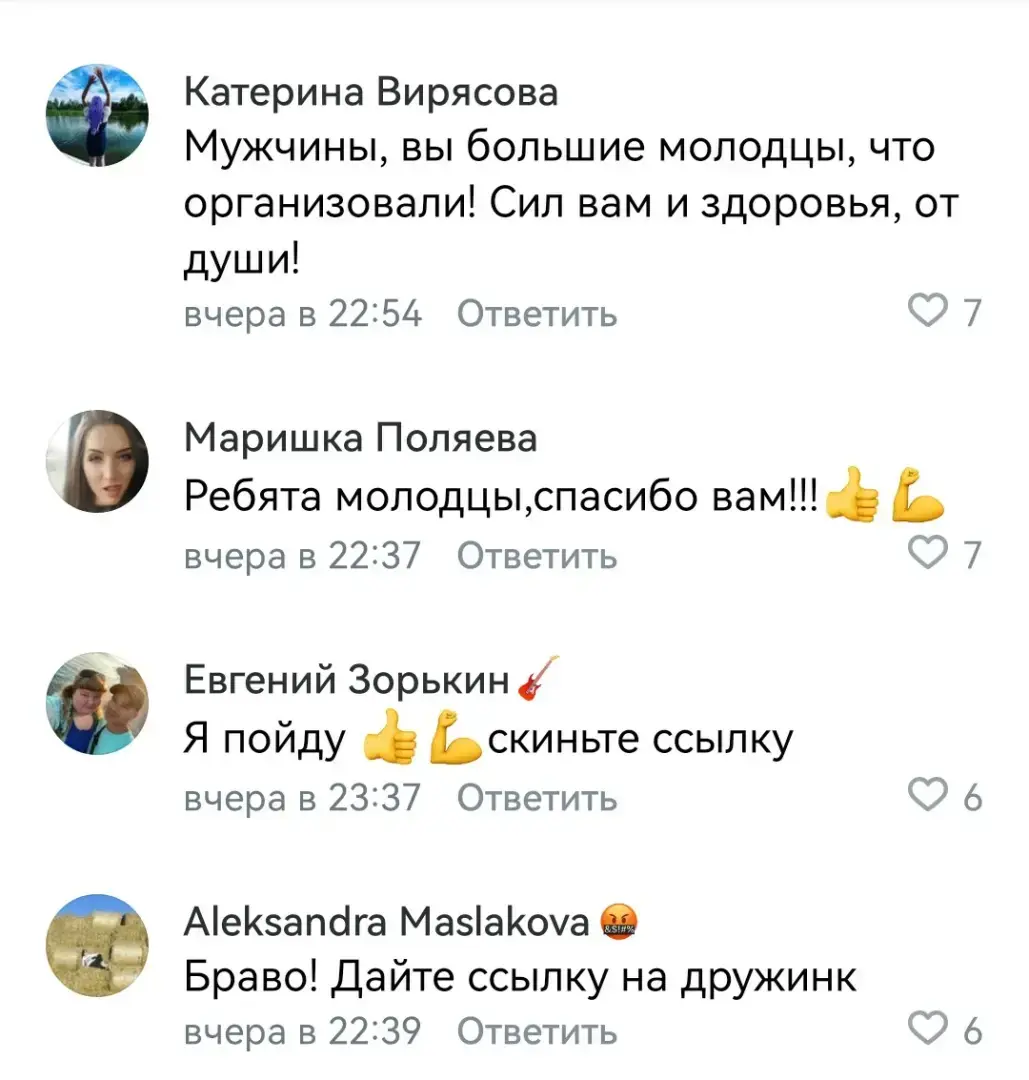 Реальный пример действия гражданского общества – народные дружины