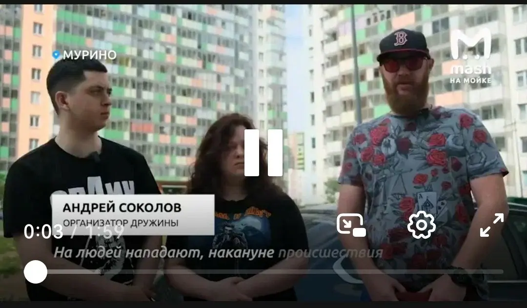 Реальный пример действия гражданского общества – народные дружины