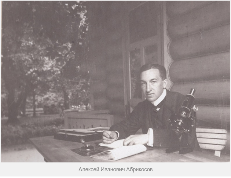 От крепостного крестьянина до “шоколадного короля” Российской империи. Кто основал концерн Бабаевский?