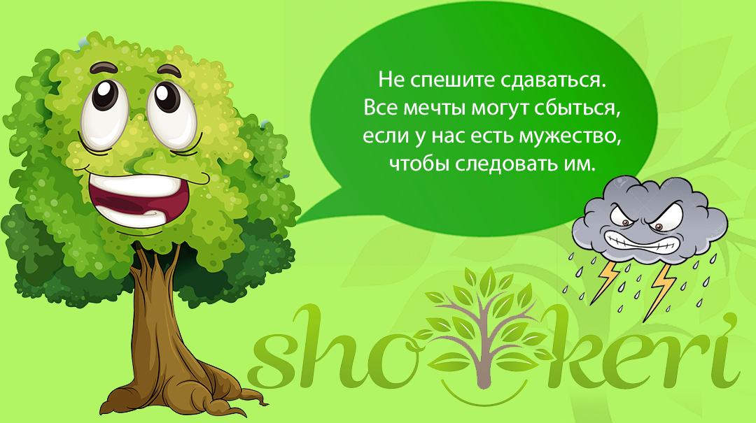 🌱Как перестать беспокоиться о деньгах🌱