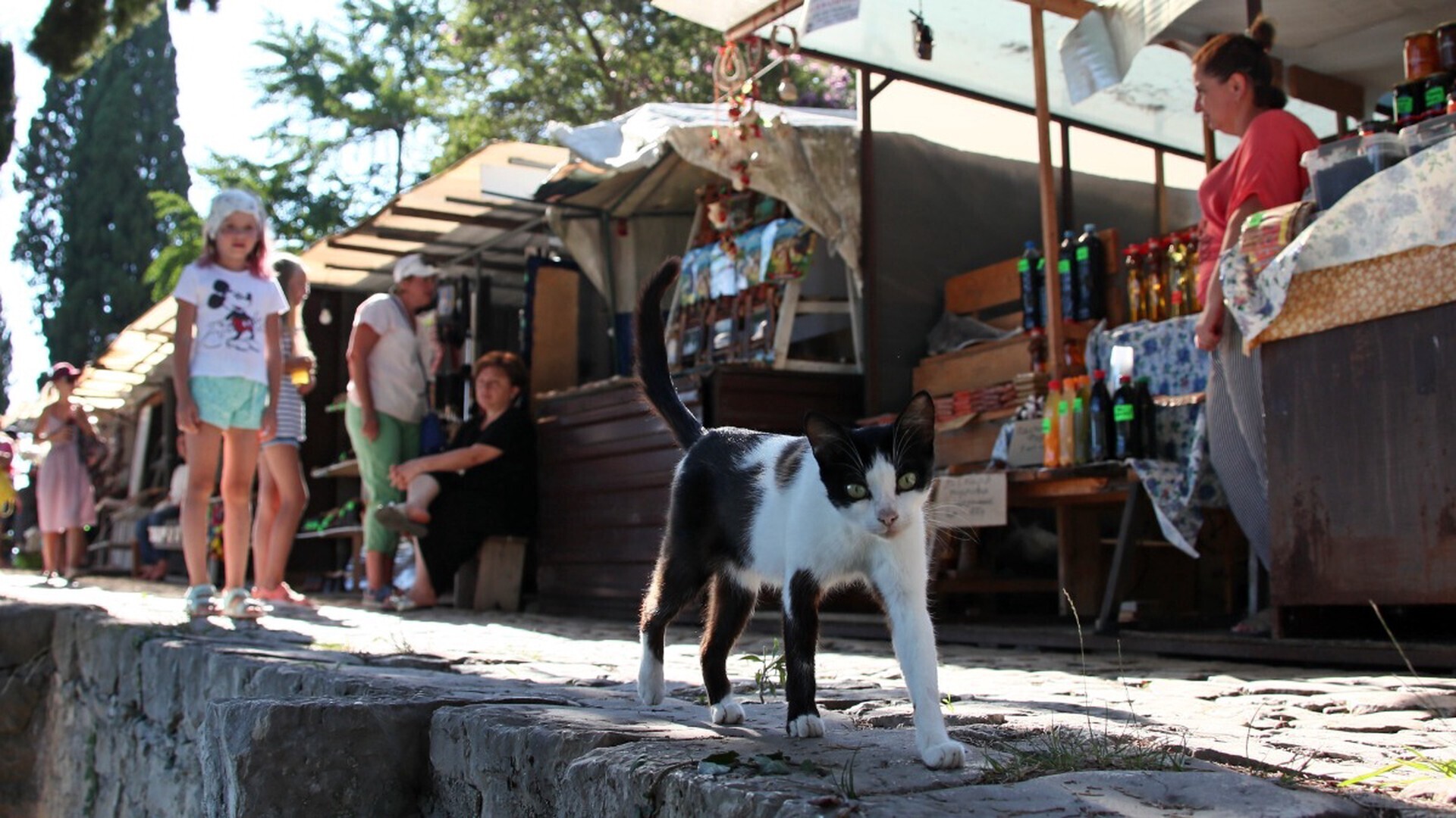 Почему я не поеду в Абхазию отдыхать