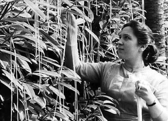 Розыгрыши XX века, которые заставят вас улыбнуться