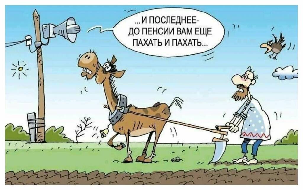 Юрист Виноградов: в пенсии могут отказать при нехватке накоплений или стажа.