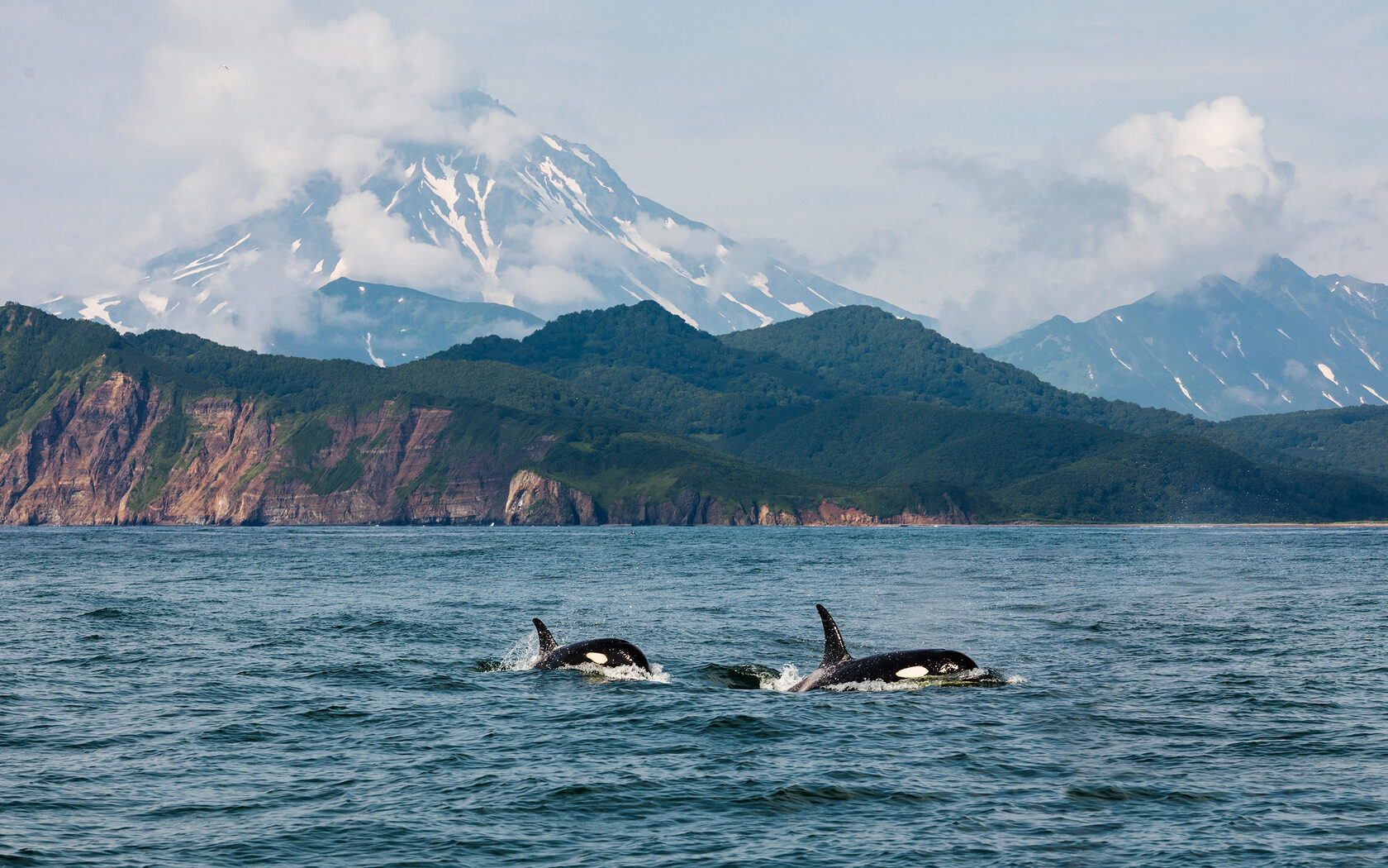 Великая экспедиция Витуса Беринга