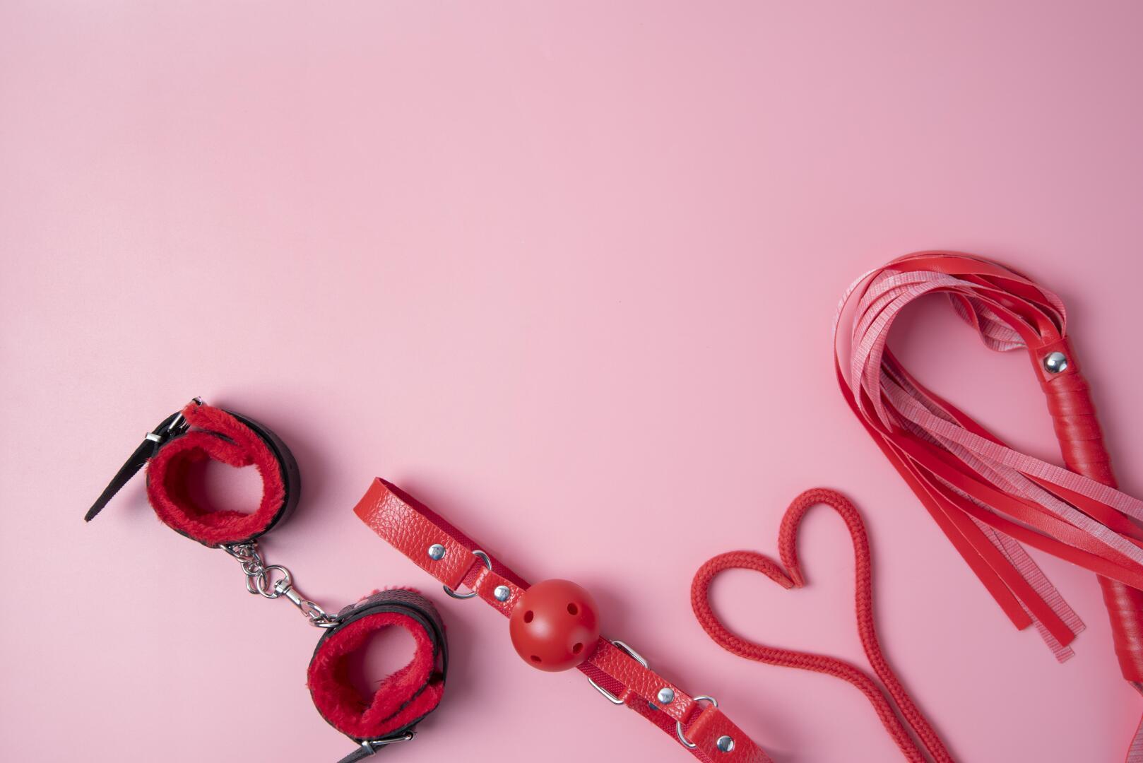 Светка хищница