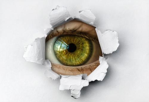 Секрет успеха: Умные видеокамеры и нейросетевая аналитика в мониторинге бизнеса.