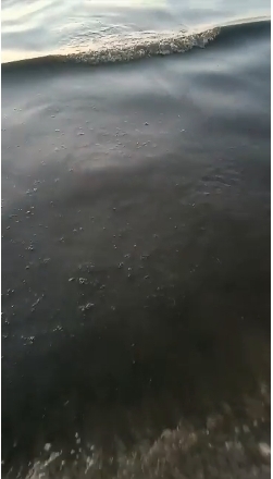 Где классно отдохнуть на Черном море