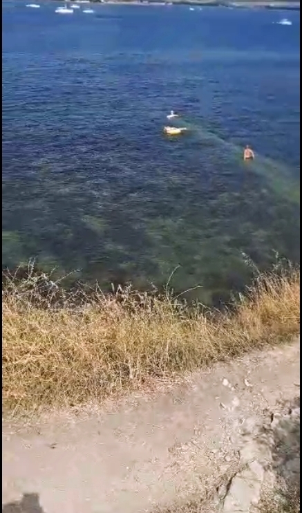 Где классно отдохнуть на Черном море