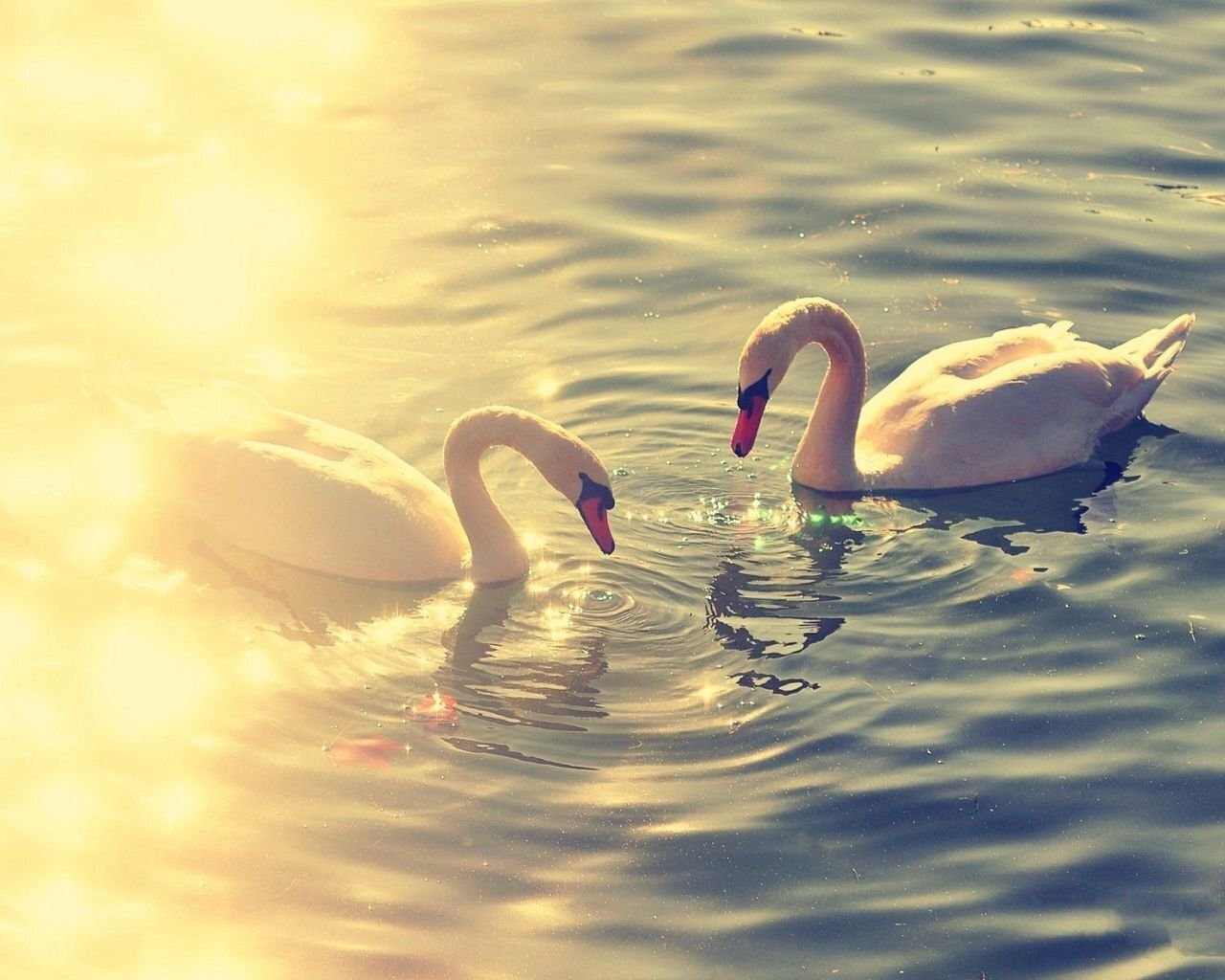 Магия любви и верности: неотъемлемая связь, которая вдохновляет души