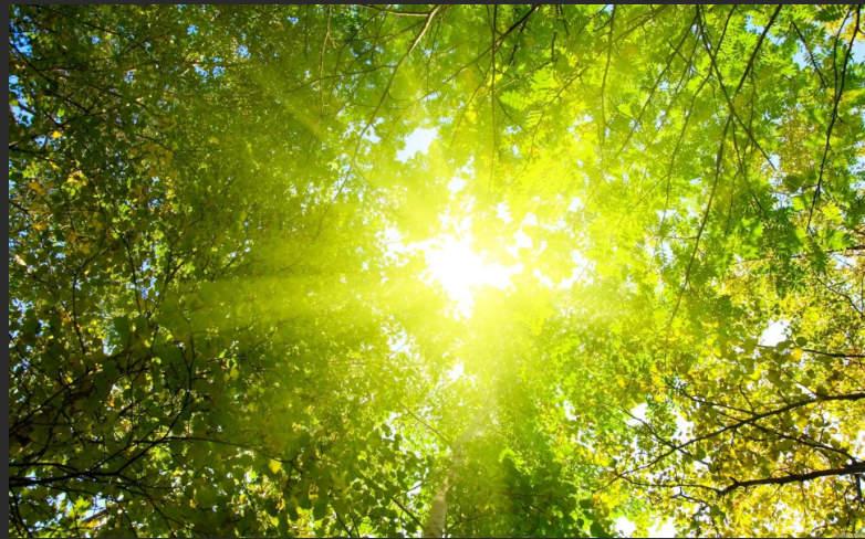 38 бесплатных или дешевых способов расслабиться и уменьшить стресс