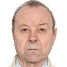 Медоволкин Владимир Иванович, г. Коломна