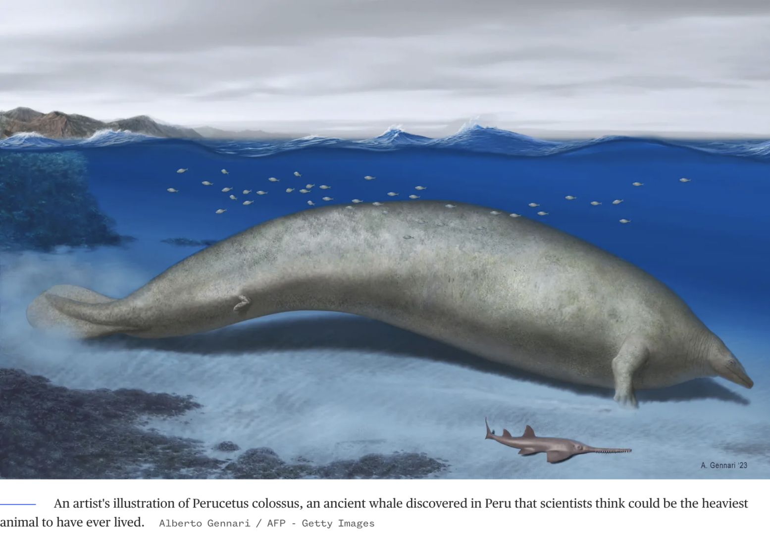 Самое тяжелое животное в истории? Массивный кит, живший 40 миллионов лет назад, найден в пустыне