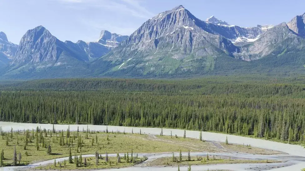 Канадская провинция Альберта отменила заявку на проведение Игр Содружества 2030 года