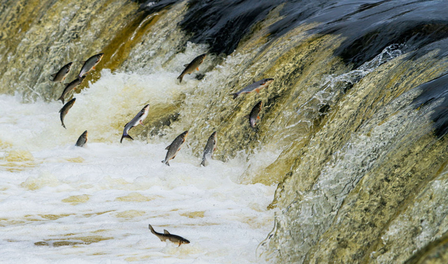 Реинкарнация души! О моих "прошлых существованиях"!