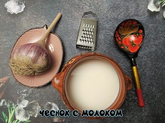 Почему люди прибегают к употреблению молока с чесноком и каковы причины, по которым они восхваляют это средство?