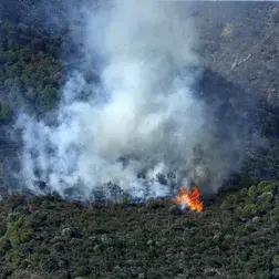 Пожар на границе Франции и Испании: эвакуировано более 130 человек
