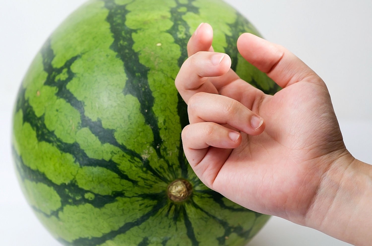 Секреты выбора сочного арбуза