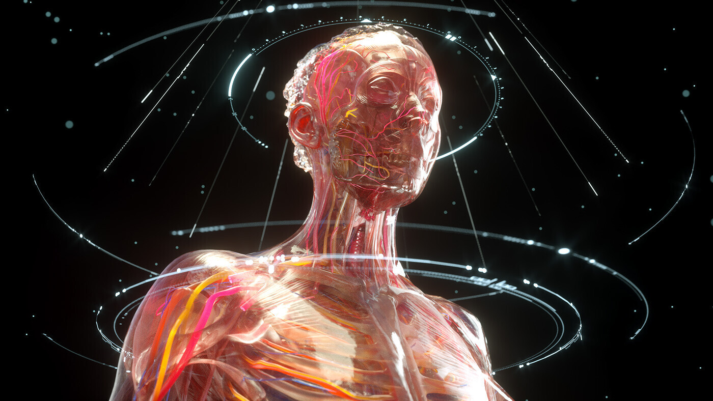 Что я увидел, когда заглянул внутрь собственного тела