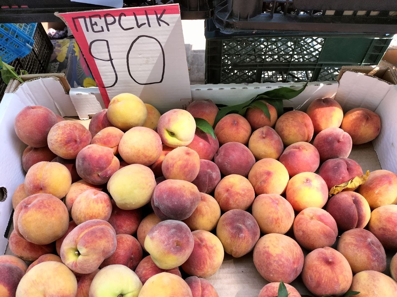 Цены на свежие фрукты снижаются. Успейте приехать в Крым - здесь дёшево и спокойно