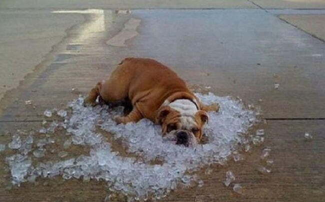 Чего нельзя делать в жару?