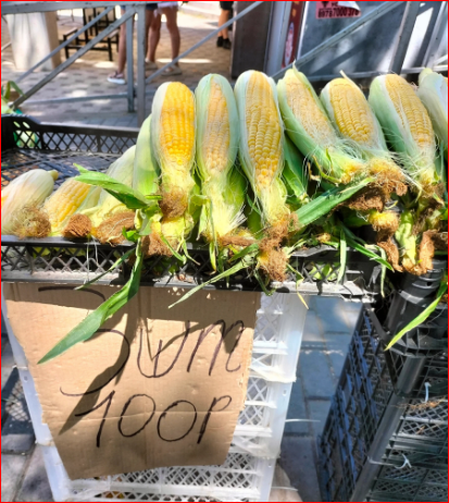 Цены на свежие фрукты снижаются. Успейте приехать в Крым - здесь дёшево и спокойно