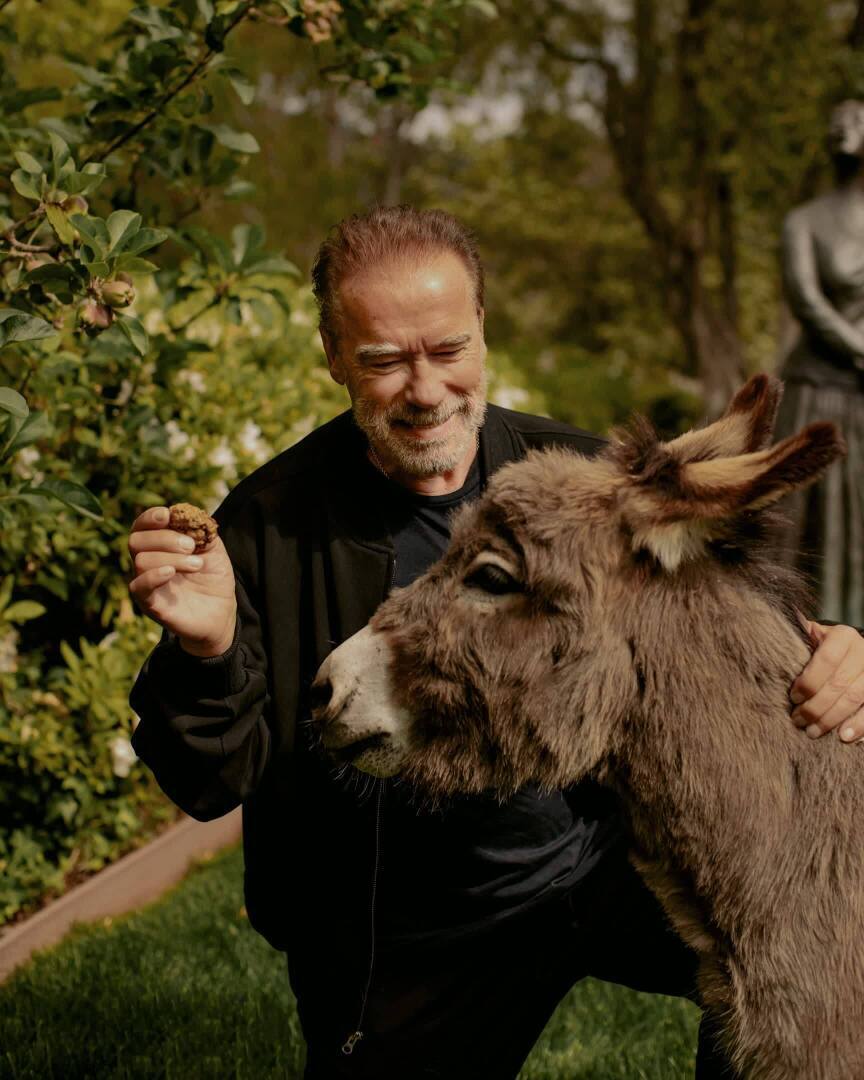 Арнольд, каким вы его еще не видели