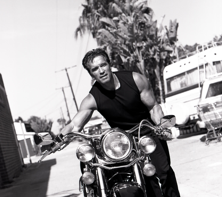 Арнольд - это нечто, исключительное, что еще не попадалось вам на глаза всё эти годы.