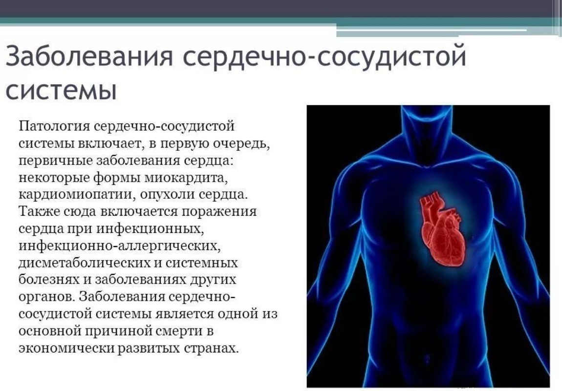 Сердечные заболевания сообщение. Сердечно-сосудистые заболевания. Патология сердечно сосудистой системы. Заболевания сердца сосудистой системы.