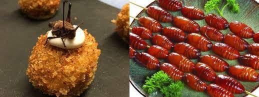 Котлеты из личинок, хлеб из саранчи у жуков. Еда из насекомых хрустит так же! Будете такое есть?