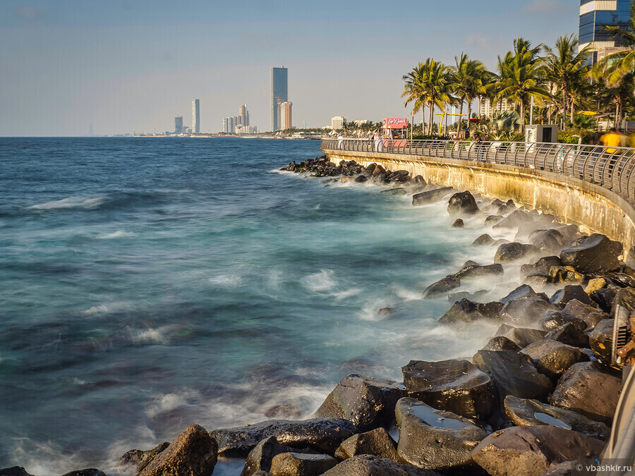 Реформа экономики и социальных структур в Саудовской Аравии