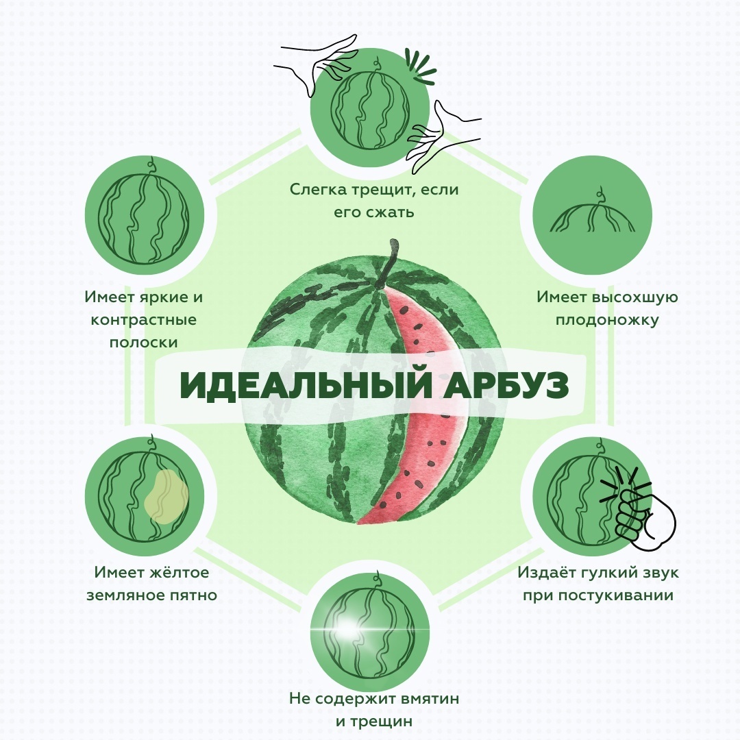 🍉Арбуз,как правильно выбрать арбуз? Опрос