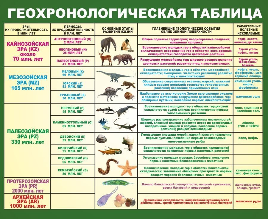 Презентация эволюция растений и животных 7 класс