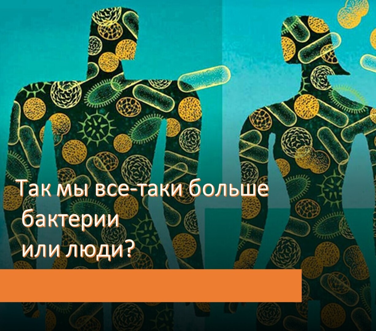 Так мы все-таки больше бактерии или люди?