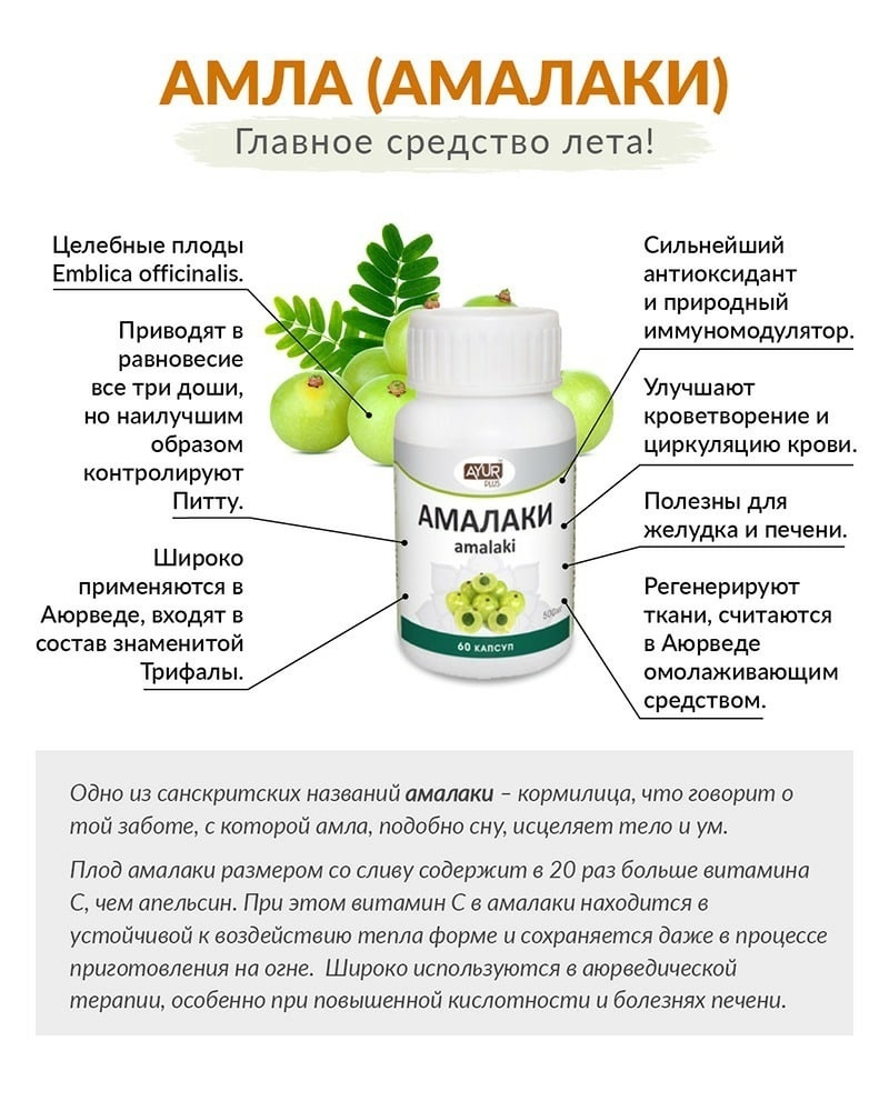 Полезные советы: амла, амалаки, индийский крыжовник свойства и применение