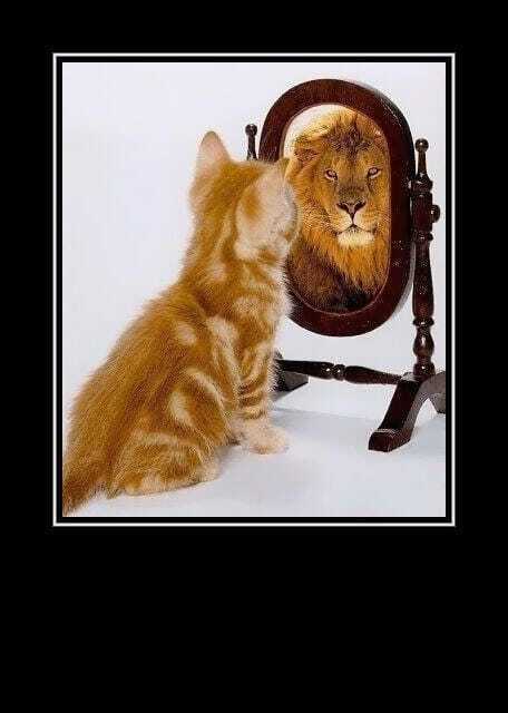 Вы верите в себя? Нет? Даже человек с "немодельной" внешностью и фигурой верит в себя и побеждает!