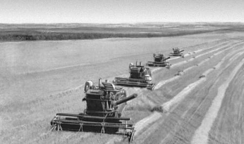 Российские деревни умирают, зато африканские зарождаются на нашей земле