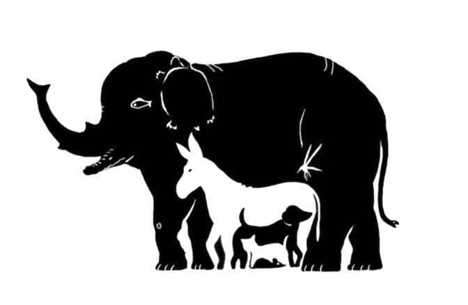 Сколько животных вы видите на картинке?