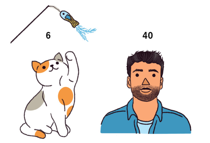 Сколько лет вашей кошке в человеческих годах? Вероятно, больше, чем вы думаете.