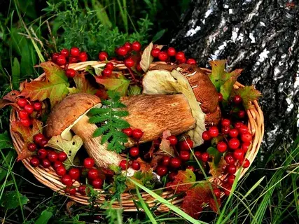 Щедрый август - благодатный месяц для всего живого