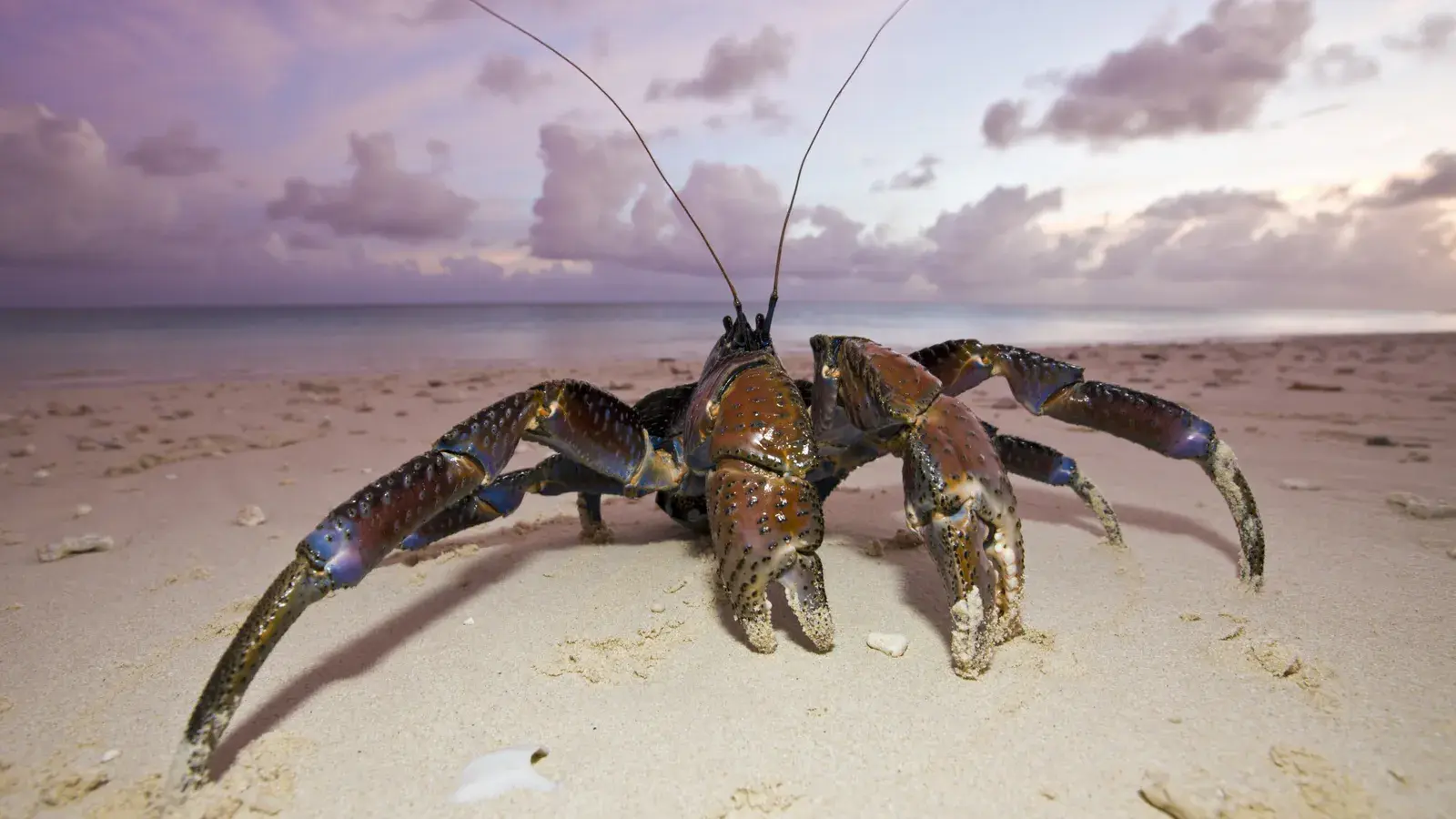 Что будет, если мы перестанем ловить рыбу?