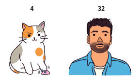 Сколько лет вашей кошке в человеческих годах? Вероятно, больше, чем вы думаете.