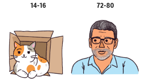 Сколько лет вашей кошке в человеческих годах? Вероятно, больше, чем вы думаете.