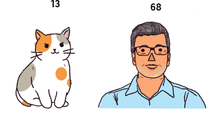 Сколько лет вашей кошке в человеческих годах? Вероятно, больше, чем вы думаете.