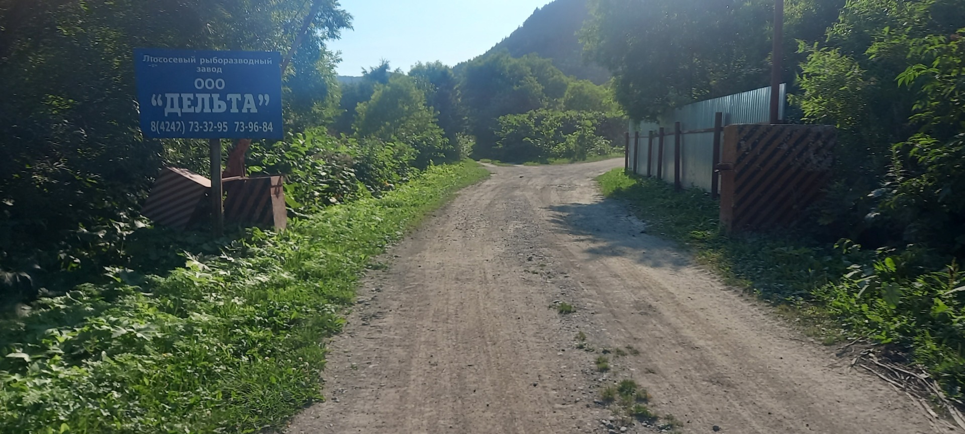 Путина 2023г. о.Сахалин река Бахура, или 5 дней Робинзонады.