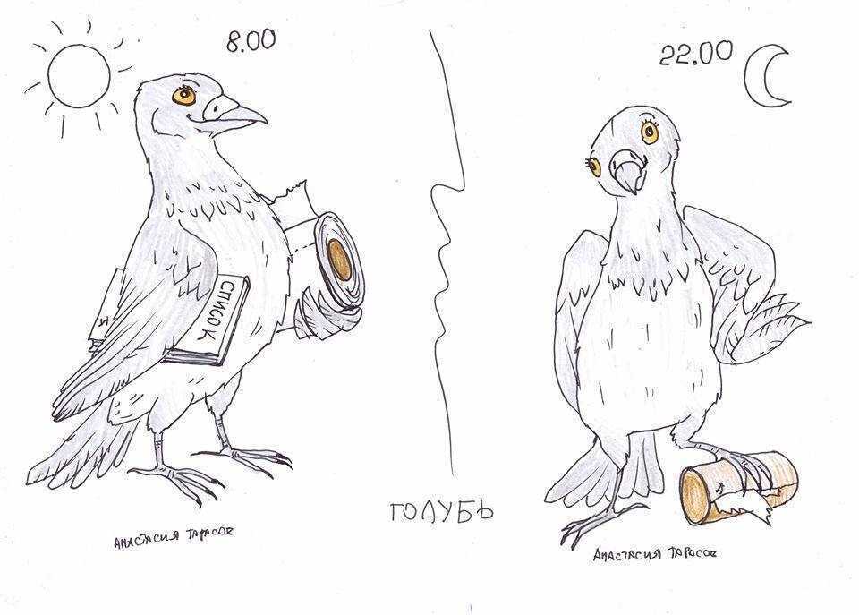 Как определить хронотип человека