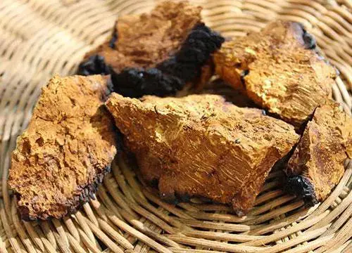 Полипы – доброкачественные образования народные средства лечения внутренних полипов.