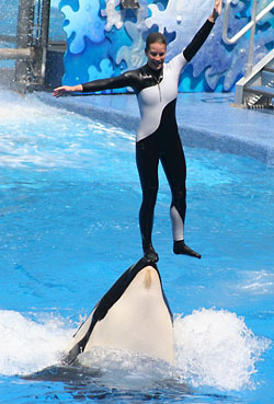 Танцующий кит.