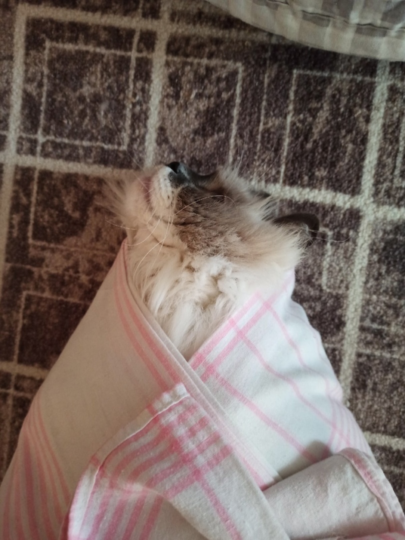 Легенда - Как осётр стал обычной рыбой