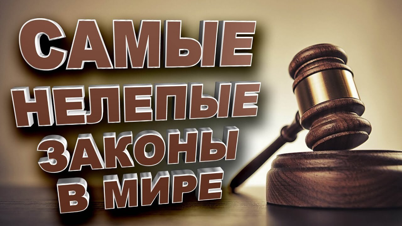 Разные закон. В мире закона. Юридический казус это. Закон смешные картинки. Веселые законы.