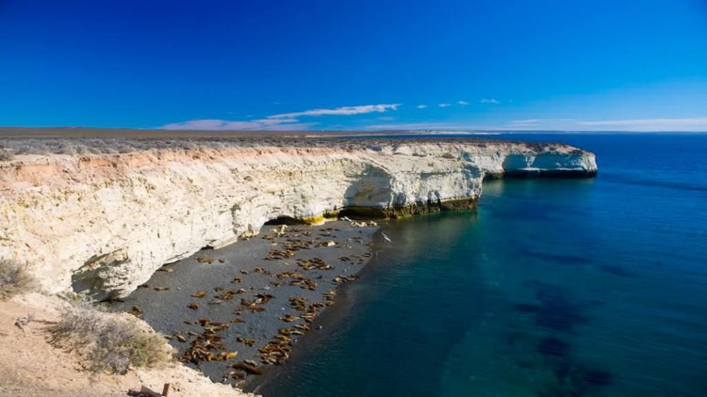 Танцующий кит.